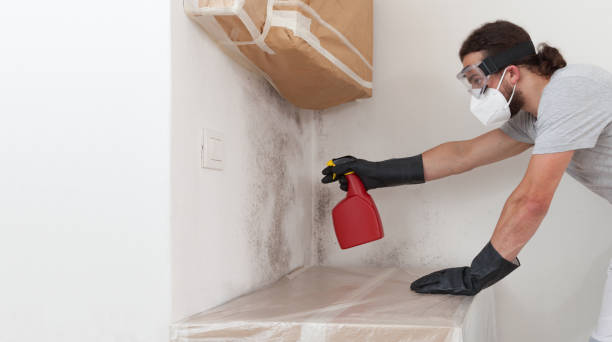 Professional Bathroom Mold Removal technician working in Forest Lake, MN