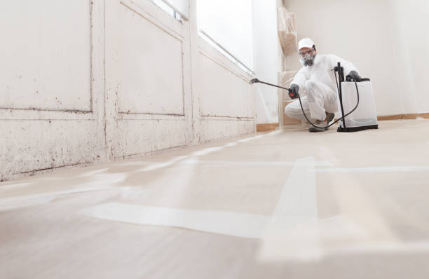 24/7 Emergency Bathroom Mold Removal experts in Forest Lake, MN